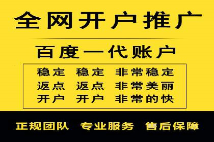 百度竞价广告运营全解析：成功案例揭秘